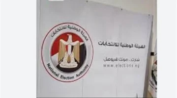 تفاصيل التصويت لمرحلة ثانية: صمت انتخابي وإعادة في مصر داخل وخارج